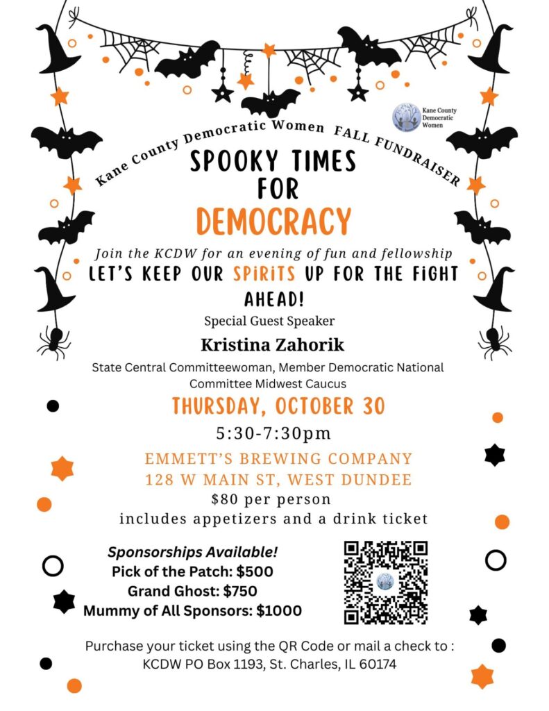Spooky Times for Democracy Flyer